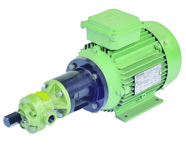 Flange Mounting Rotary Gear Pump (Series - DRX)